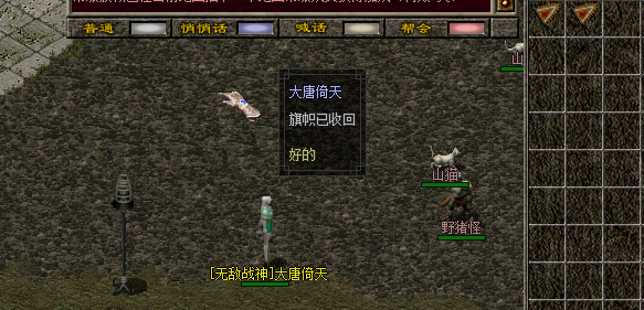 装备展示